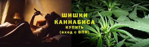 PSILOCYBIN Лихославль